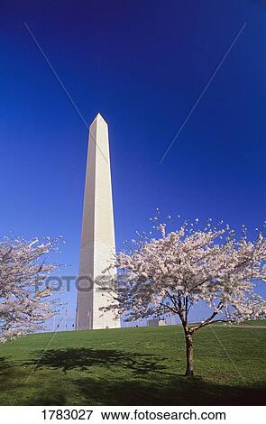 Stock Photo - Washington Monument. Fotosearch