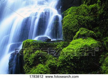 Stock Image - Waterfall on Wahkeena Creek, Columbia River Gorge. Fotosearch