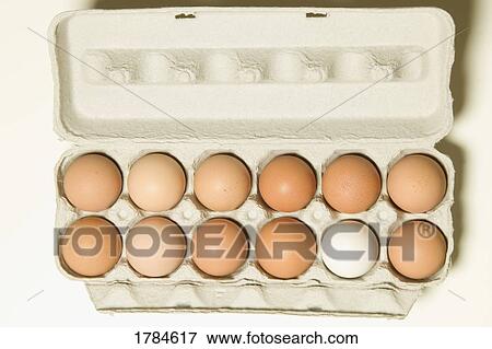 White egg among brown eggs View Large Photo Image Stock Photo - White egg among brown eggs. Fotosearch