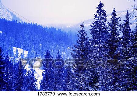 Winter in the mountains View Large Photo Image Stock Photo - Winter in the mountains. Fotosearch