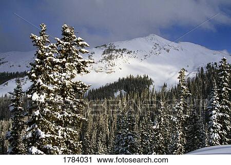 Stock Image - Winter mountain view of Gunnison National Forest. Fotosearch