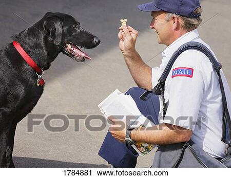 Stock Image - A mailman on duty. Fotosearch