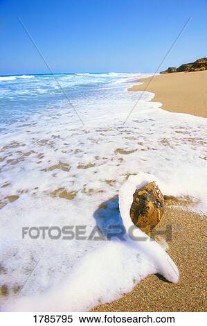 Stock Photography - A shoreline. Fotosearch