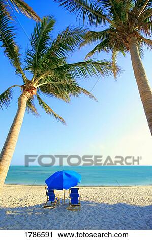 Stock Image - A tropical holiday. Fotosearch