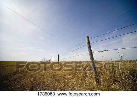 Stock Image - A wire fence. Fotosearch