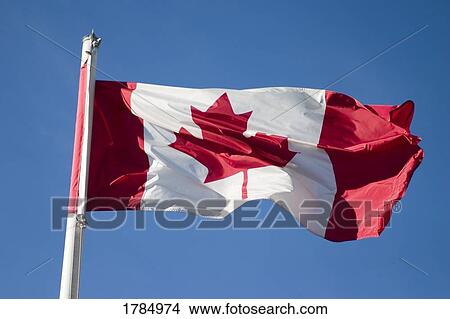 Picture - Canadian Flag. Fotosearch
