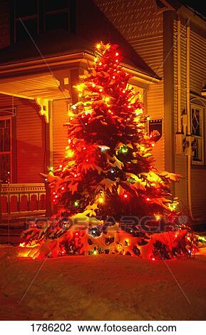Christmas tree View Large Photo Image Stock Image - Christmas tree. Fotosearch