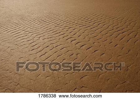 Stock Photo - Closeup of sandy texture. Fotosearch