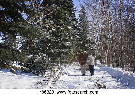 Elderly couple walking in winter View Large Photo Image Stock Photo - Elderly couple walking in winter. Fotosearch
