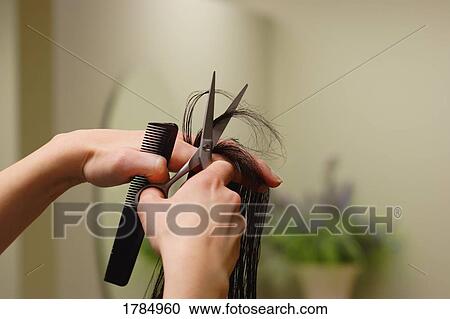Stock Image - Getting a hair cut. Fotosearch