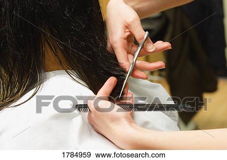 Getting a hair cut View Large Photo Image Stock Photo - Getting a hair cut. Fotosearch
