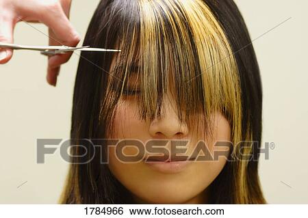 Getting a hair cut View Large Photo Image Stock Photograph - Getting a hair cut. Fotosearch