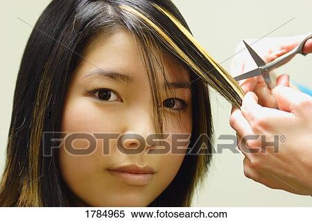 Getting a hair cut View Large Photo Image Stock Photography - Getting a hair cut. Fotosearch