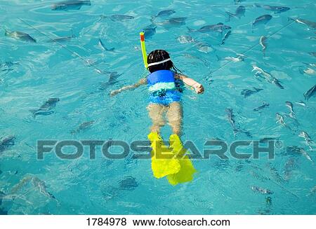 Stock Photo - Little Girl Snorkeling with Fish. Fotosearch