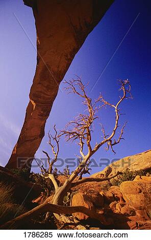 Stock Photography - Natural Bridges National Monument. Fotosearch