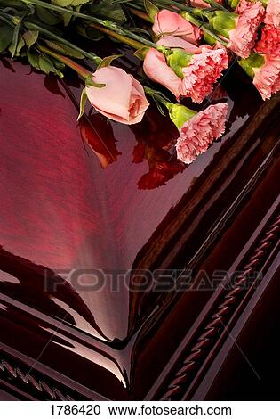 Pink roses and carnations laying on a casket View Large Photo Image Stock Image - Pink roses and carnations laying on a casket. Fotosearch