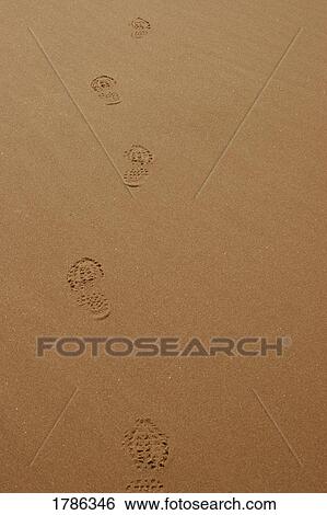Runnner's footprints in the sand View Large Photo Image Stock Photograph - Runnner's footprints in the sand. Fotosearch