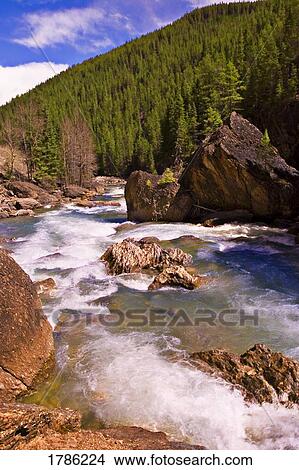 Picture - Rushing stream in the wilderness. Fotosearch