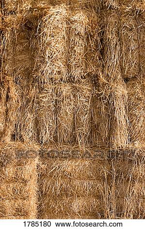 Stacked hay bales View Large Photo Image Stock Image - Stacked hay bales. Fotosearch