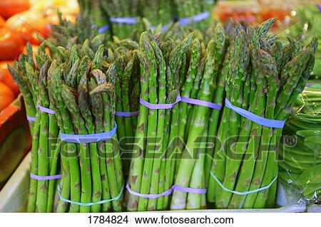 Stacks of asparagus View Large Photo Image Picture - Stacks of asparagus. Fotosearch
