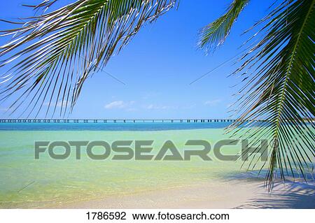 Stock Image - Tropical beach. Fotosearch