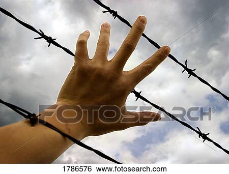 Trying to escape View Large Photo Image Stock Photograph - Trying to escape. Fotosearch