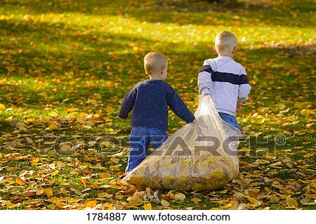 Two boys dragging bag of leaves View Large Photo Image Stock Photo - Two boys dragging bag of leaves. Fotosearch