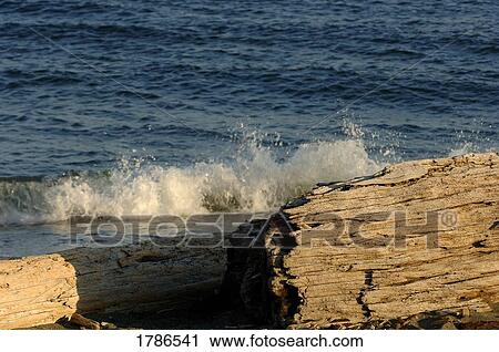 Stock Image - Waves crashing on shore. Fotosearch