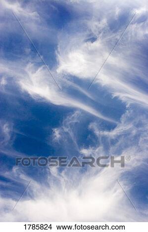 Wispy clouds in the sky View Large Photo Image Picture - Wispy clouds in the sky. Fotosearch
