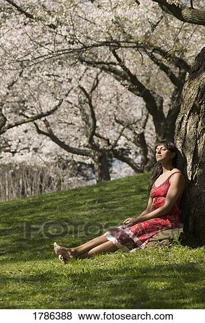Woman relaxing under cherry tree blossoms View Large Photo Image Stock Photo - Woman relaxing under cherry tree blossoms. Fotosearch