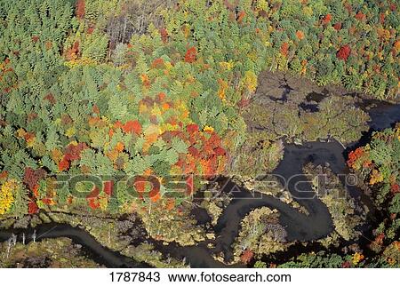 Stock Image - Aerial view of Willard Brook State Park in autumn color. Fotosearch