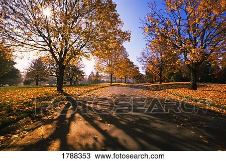 Autumn Road View Large Photo Image Stock Image - Autumn Road. Fotosearch