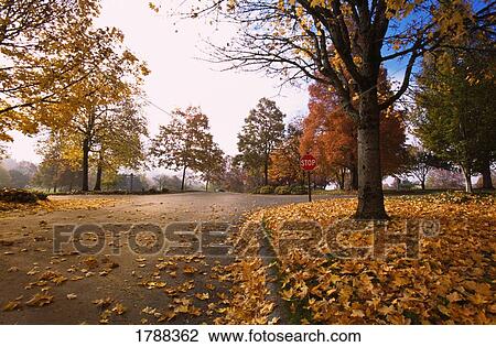 Stock Image - Autumn scenic. Fotosearch