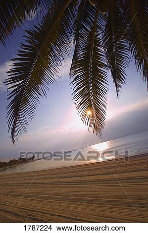 Picture - Beach landscape. Fotosearch