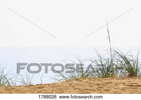 Beachfront View Large Photo Image Stock Photograph - Beachfront. Fotosearch