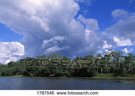 Stock Photograph - Clouds over tropical rain forest. Fotosearch