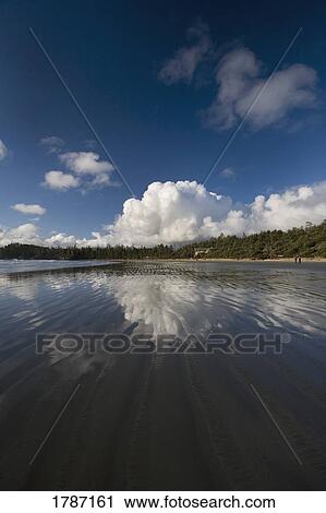 Stock Image - Cox Bay beach. Fotosearch