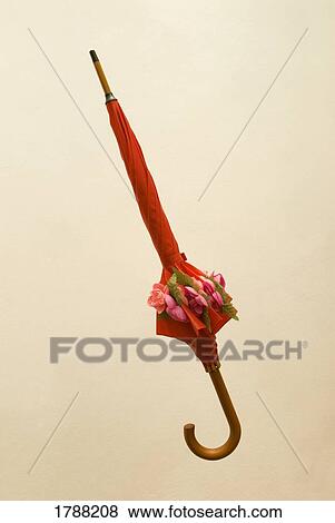 Decorative Ladies Umbrella with Flowers View Large Photo Image Stock Photo - Decorative Ladies Umbrella with Flowers. Fotosearch