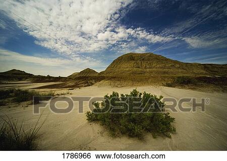 Dinosaur Provincial Park, Alberta View Large Photo Image Stock Photograph - Dinosaur Provincial Park, Alberta. Fotosearch