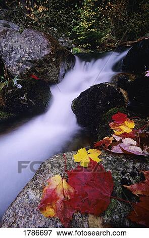 Fall season waterfall View Large Photo Image Stock Photo - Fall season waterfall. Fotosearch