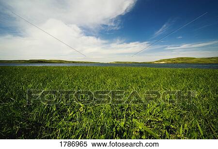 Field of grass with a lake in the distance View Large Photo Image Stock Photography - Field of grass with a lake in the distance. Fotosearch