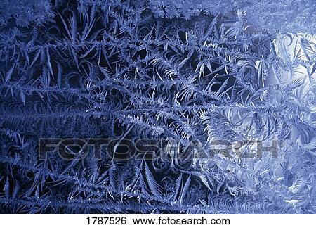 Stock Photograph - Frost detail. Fotosearch