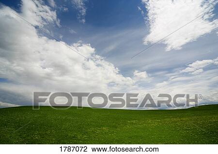 Stock Image - Green landscape. Fotosearch
