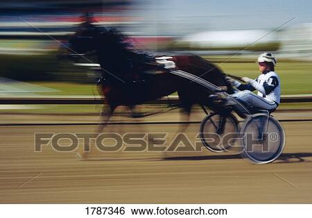 Harness racing View Large Photo Image Stock Photograph - Harness racing. Fotosearch