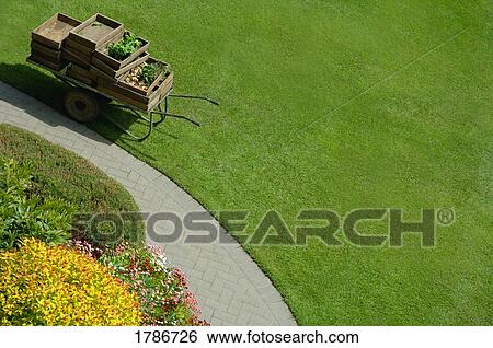 Stock Photograph - High angle garden and grass. Fotosearch