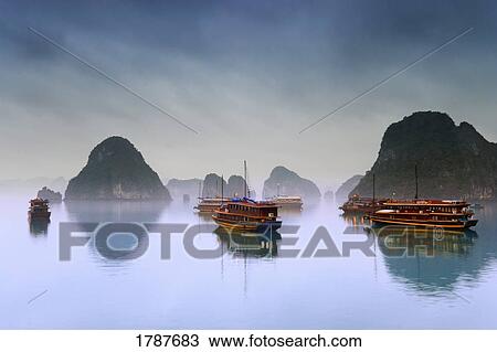 Stock Image - Hotel Junks on Halong Bay, Vietnam. Fotosearch