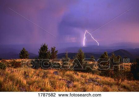 Stock Image - Lightning storm, Jemez Mountains. Fotosearch