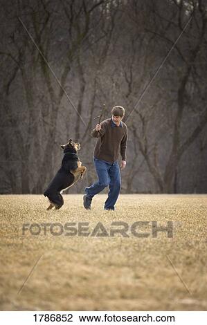 Stock Image - Man's best friend. Fotosearch