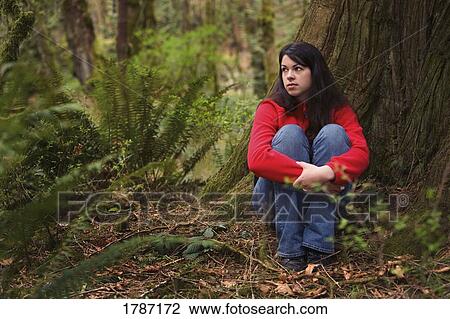 Sitting in a rainforest View Large Photo Image Stock Image - Sitting in a rainforest. Fotosearch