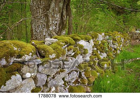 Stone wall View Large Photo Image Stock Photo - Stone wall. Fotosearch